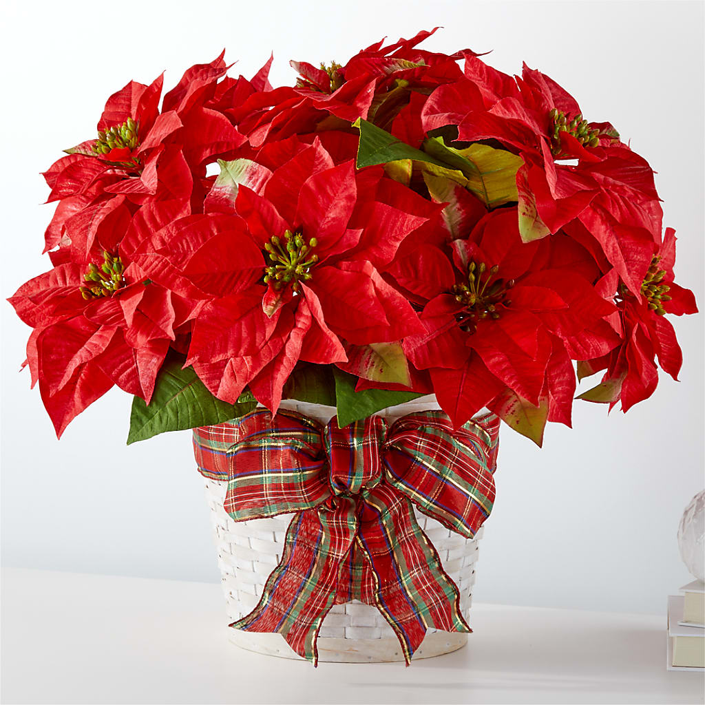Happiest Holidays Poinsettia – FRUIT & FLOWER CREATIONS, Portland OR