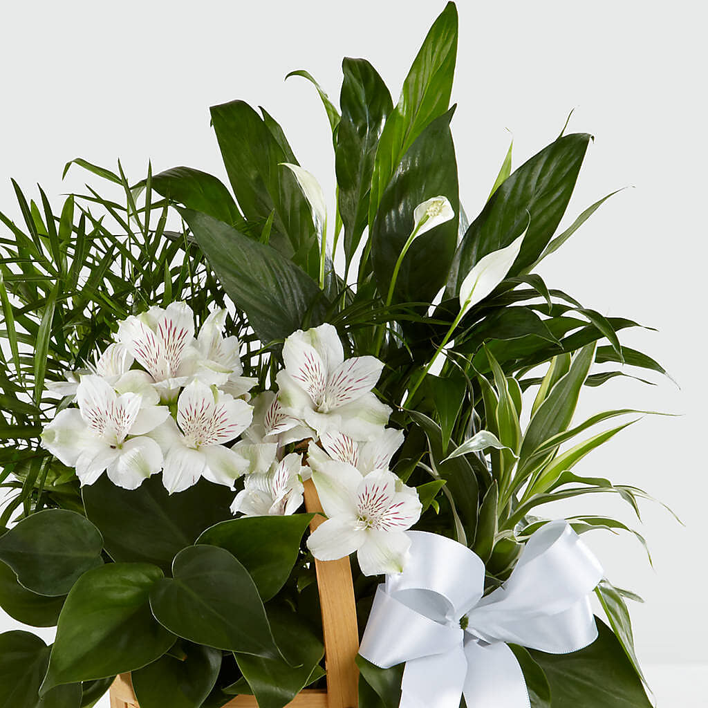 Peace & Serenity Dishgarden – FRUIT & FLOWER CREATIONS, Portland OR