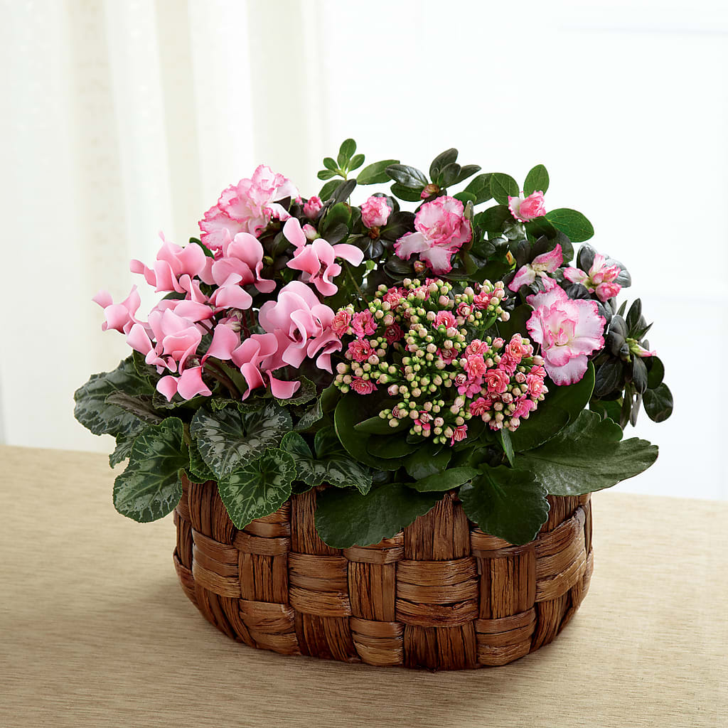 Pink Assortment – FRUIT & FLOWER CREATIONS, Portland OR