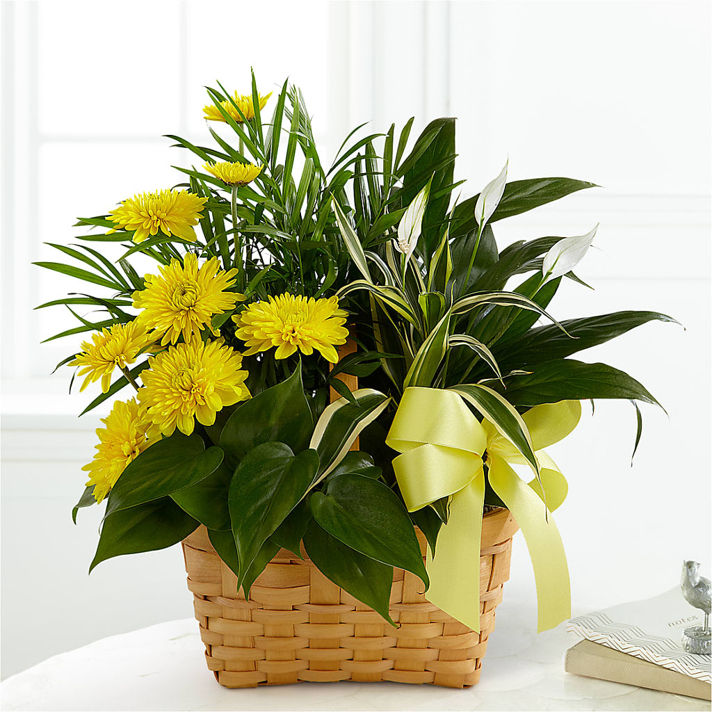 Loving Light Dishgarden – FRUIT & FLOWER CREATIONS, Portland OR