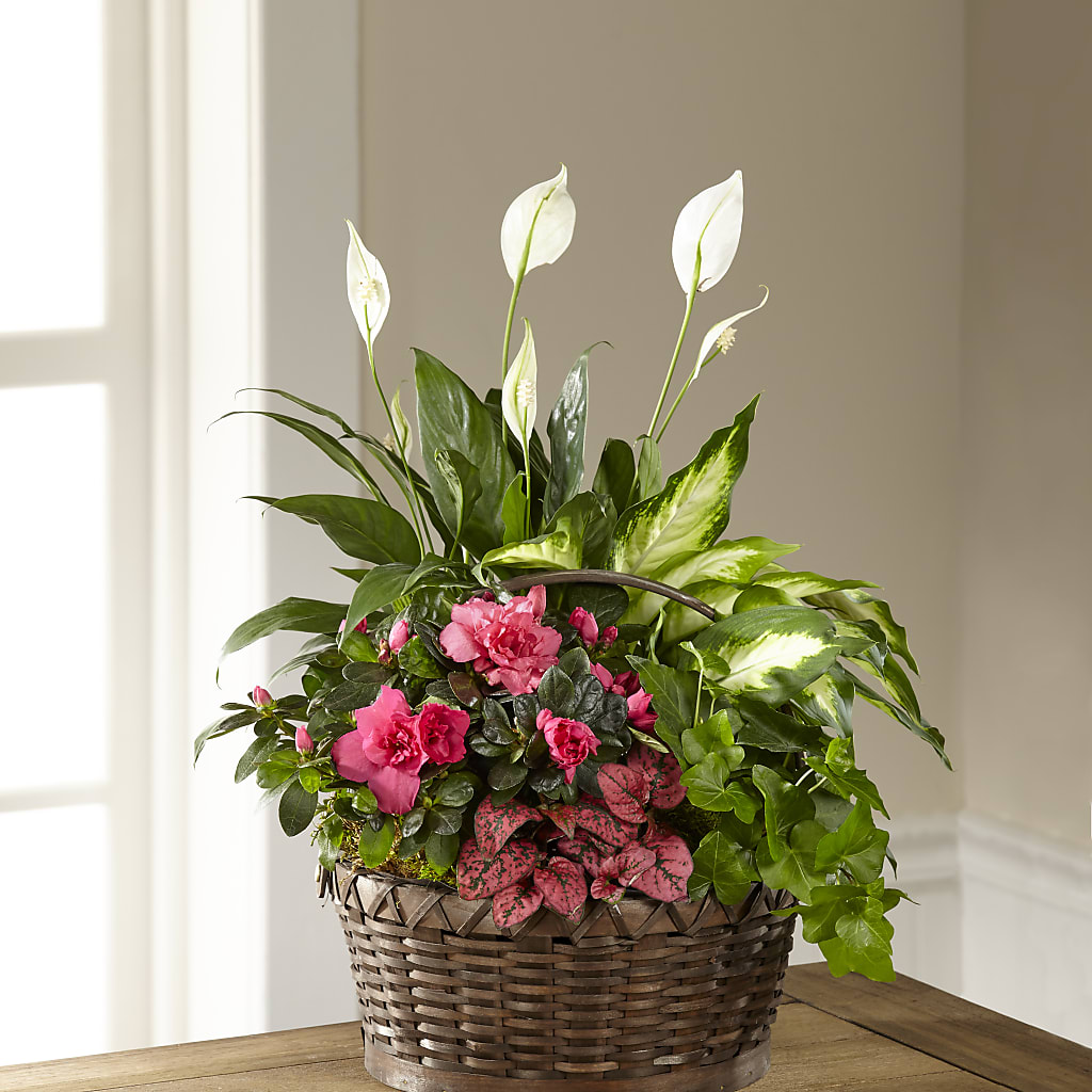 Dream in Pink Dishgarden – FRUIT & FLOWER CREATIONS, Portland OR