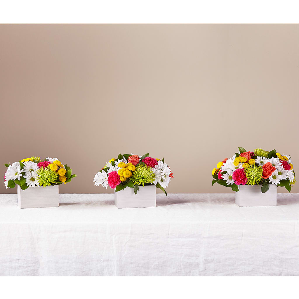 Sorbet Bouquet – FRUIT & FLOWER CREATIONS, Portland OR