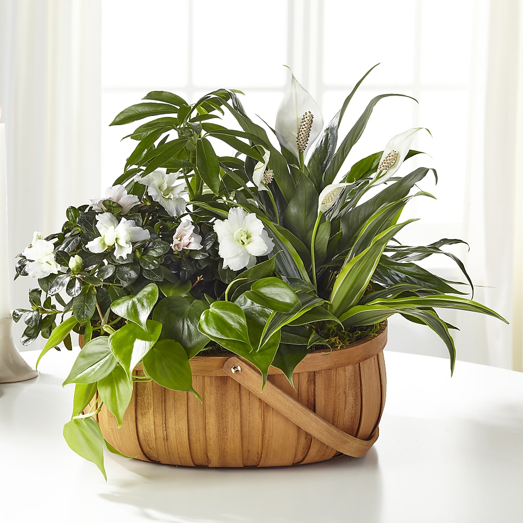 Serene Dishgarden – FRUIT & FLOWER CREATIONS, Portland OR