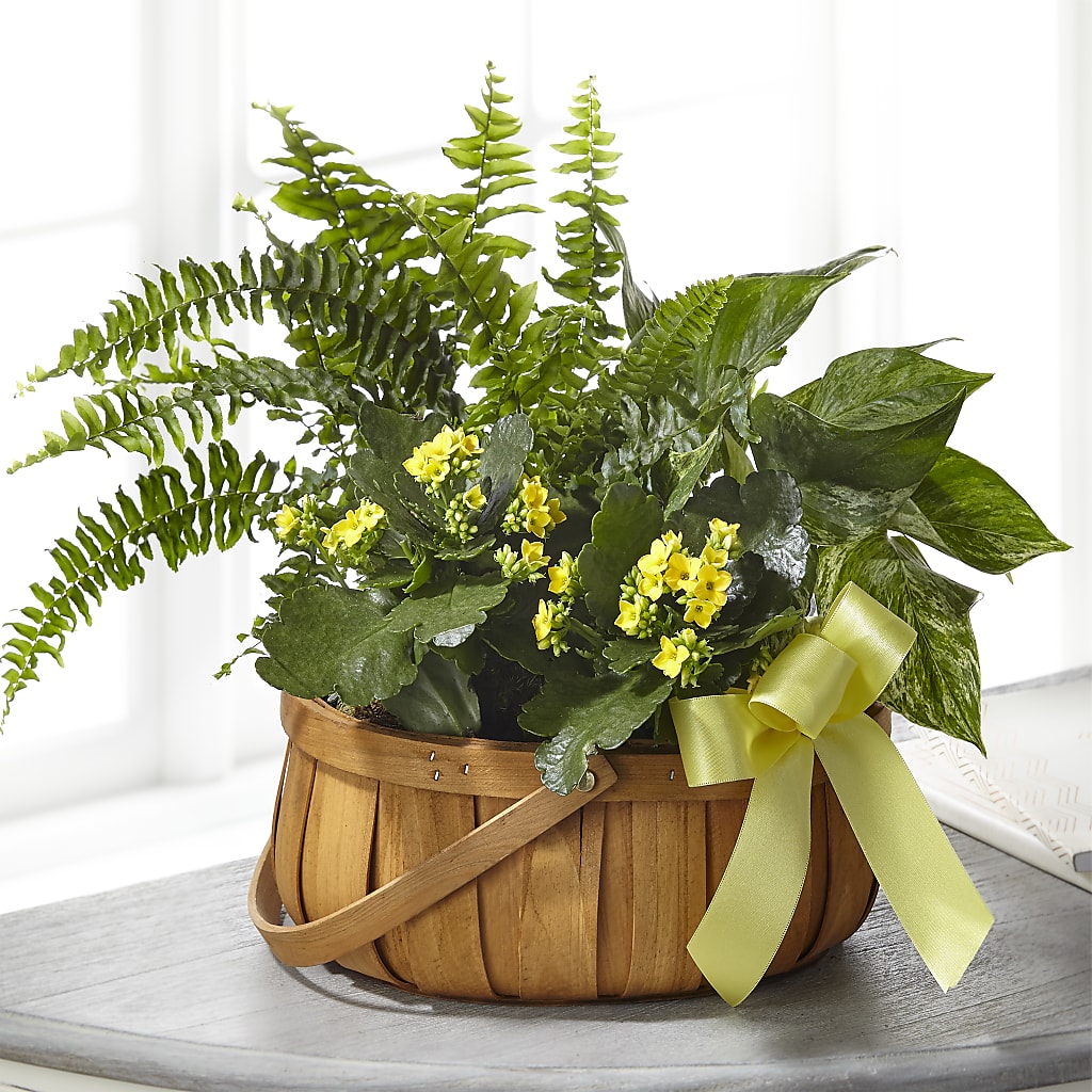 Always Dear Dishgarden – FRUIT & FLOWER CREATIONS, Portland OR