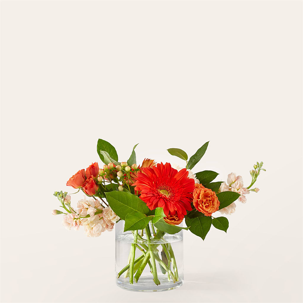 Paloma Please Bouquet – FRUIT & FLOWER CREATIONS, Portland OR