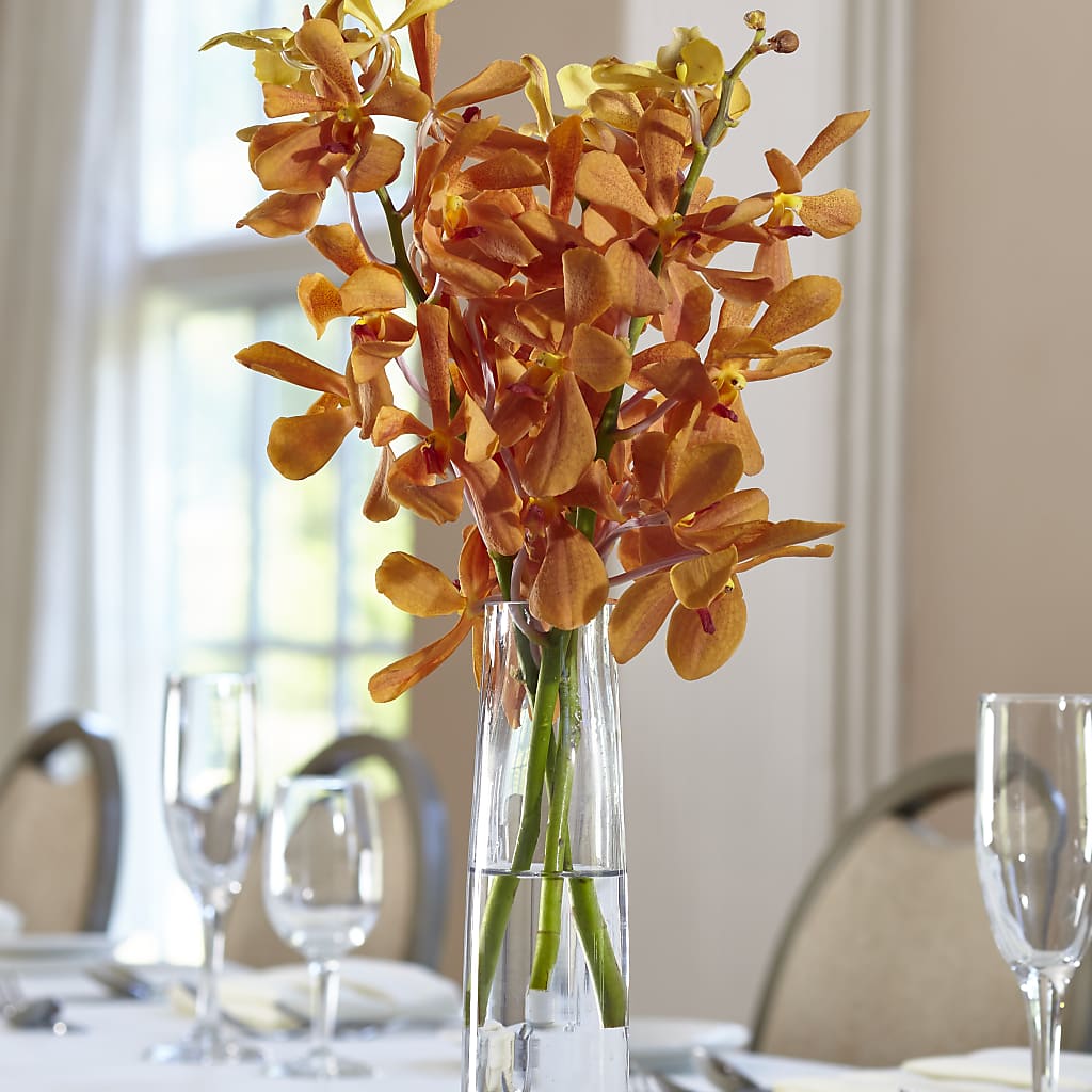 Orange Mokara Bud Vase – FRUIT & FLOWER CREATIONS, Portland OR