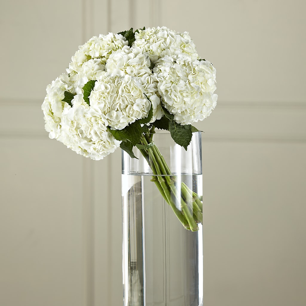 White Hydrangea Hand-Tied Bouquet – FRUIT & FLOWER CREATIONS, Portland OR