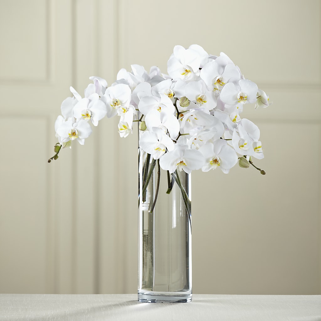 White Phalaenopsis Bouquet – FRUIT & FLOWER CREATIONS, Portland OR