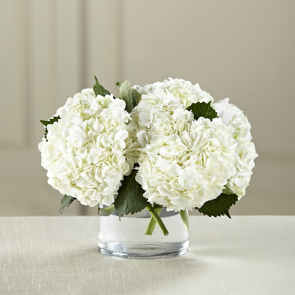 White Hydrangea Bouquet – FRUIT & FLOWER CREATIONS, Portland OR