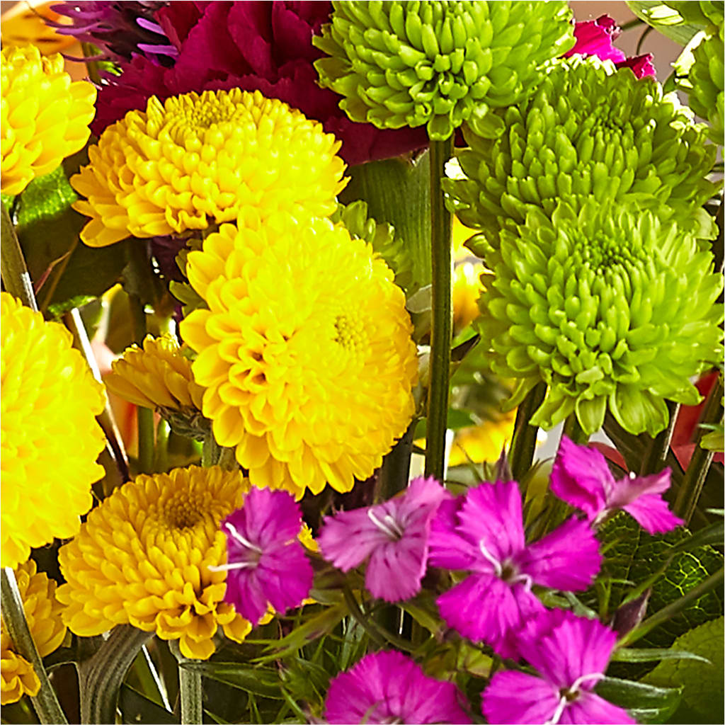 Bold & Bright – A Florist Original – FRUIT & FLOWER CREATIONS, Portland OR