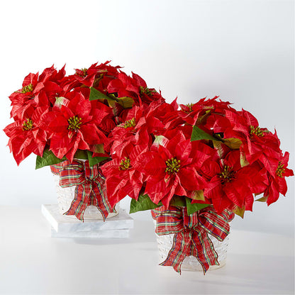 Happiest Holidays Poinsettia Bundle – FRUIT & FLOWER CREATIONS, Portland OR