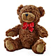 Adorable Plush Bear – FRUIT & FLOWER CREATIONS, Portland OR