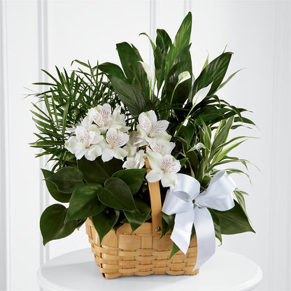 Peace & Serenity Dishgarden – FRUIT & FLOWER CREATIONS, Portland OR