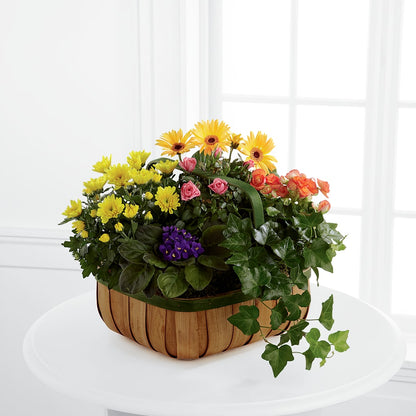 Gentle Blossoms Basket – FRUIT & FLOWER CREATIONS, Portland OR
