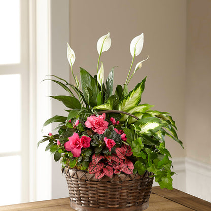 Dream in Pink Dishgarden – FRUIT & FLOWER CREATIONS, Portland OR