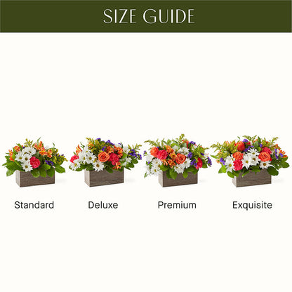 Oopsie Daisy Box Bouquet – FRUIT & FLOWER CREATIONS, Portland OR