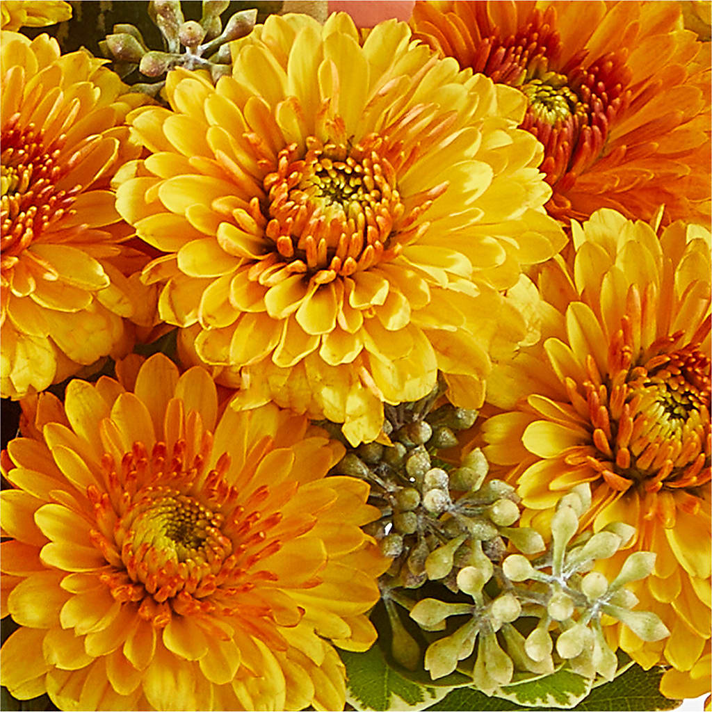 Peachy Pumpkin – FRUIT & FLOWER CREATIONS, Portland OR