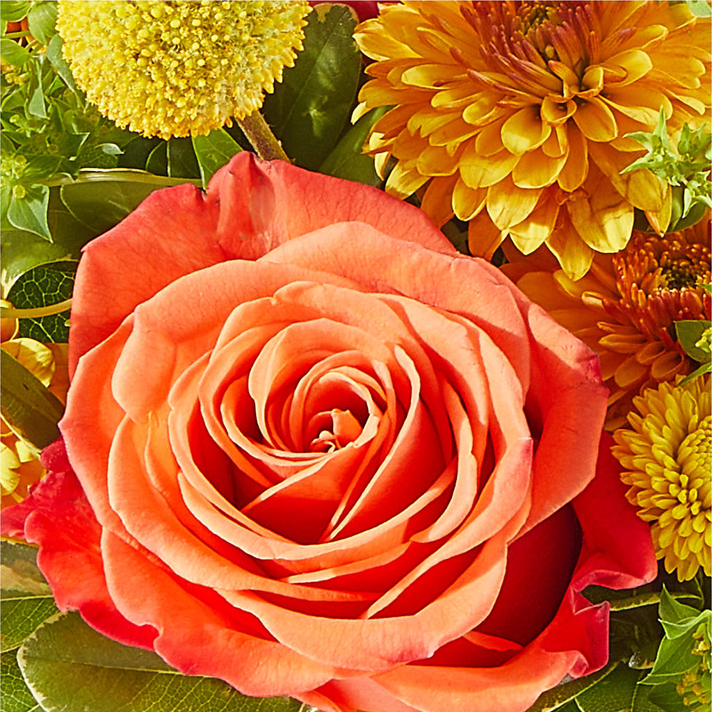 Gourdgeous Pumpkin – FRUIT & FLOWER CREATIONS, Portland OR