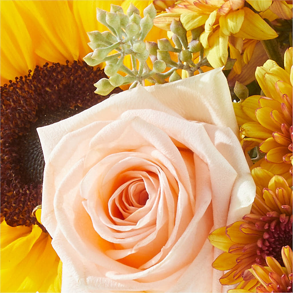 Pumpkin to Talk About Bouquet – FRUIT & FLOWER CREATIONS, Portland OR