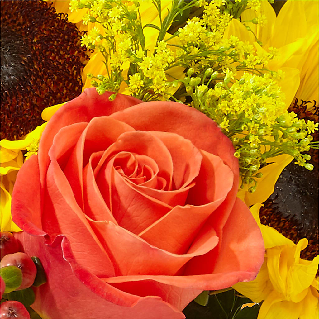 Pick of the Patch Pumpkin Bouquet – FRUIT & FLOWER CREATIONS, Portland OR