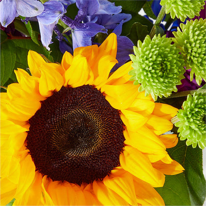 Catching Rays Bouquet – FRUIT & FLOWER CREATIONS, Portland OR
