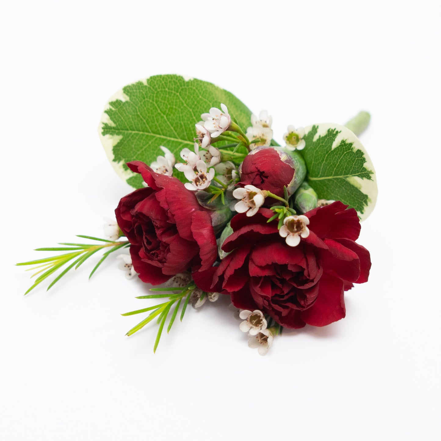 Prom: Carnation Boutonnieres