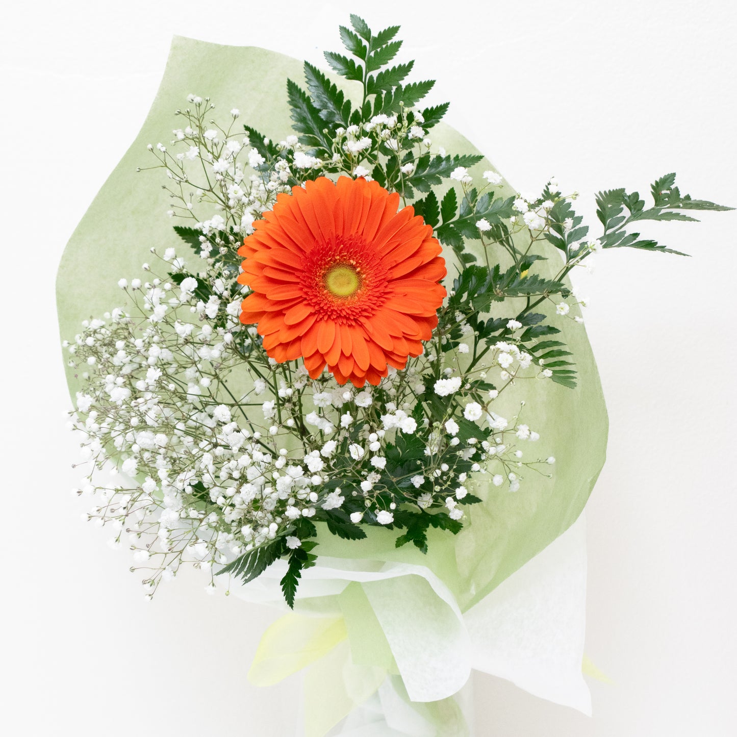 Promposal: Gerbera Daisies with filler and wrap