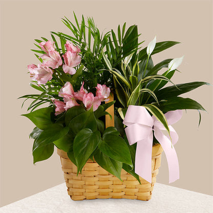 Living Spirit Dishgarden – FRUIT & FLOWER CREATIONS, Portland OR