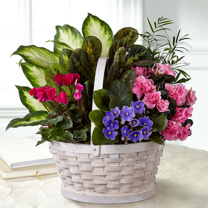 Peaceful Garden Planter – FRUIT & FLOWER CREATIONS, Portland OR