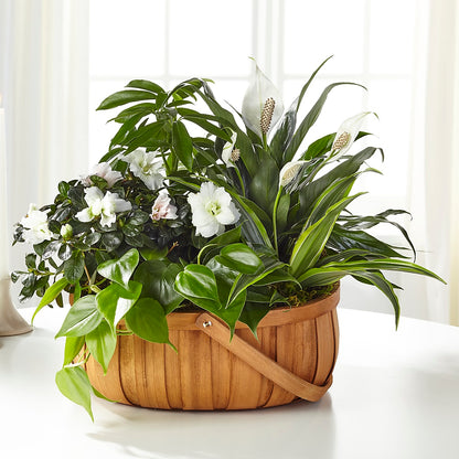 Serene Dishgarden – FRUIT & FLOWER CREATIONS, Portland OR