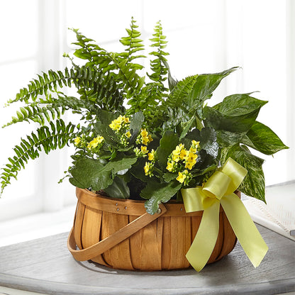Always Dear Dishgarden – FRUIT & FLOWER CREATIONS, Portland OR