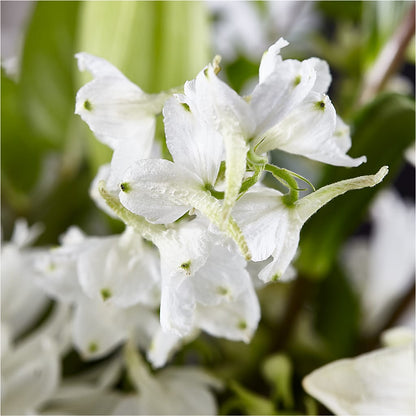 Classic Ivory – A Florist Original – FRUIT & FLOWER CREATIONS, Portland OR