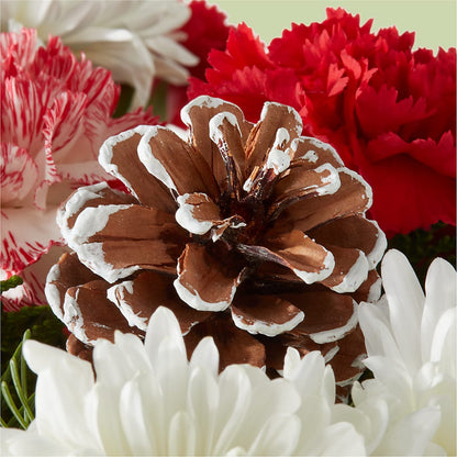 Candy Cane Lane Bouquet – FRUIT & FLOWER CREATIONS, Portland OR