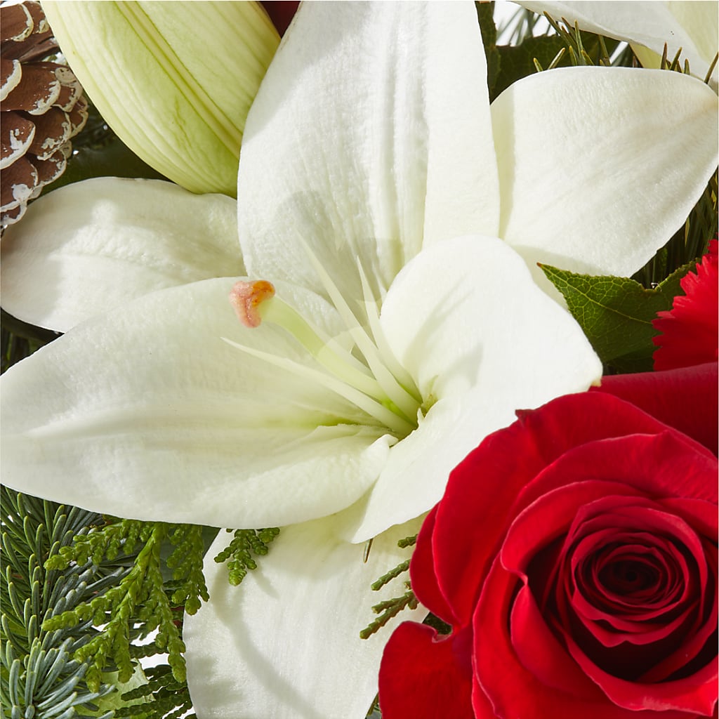 Oh So Jolly Bouquet – FRUIT & FLOWER CREATIONS, Portland OR