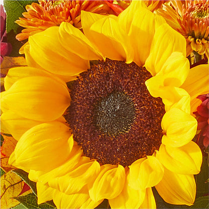 Sunny Side Bouquet – FRUIT & FLOWER CREATIONS, Portland OR