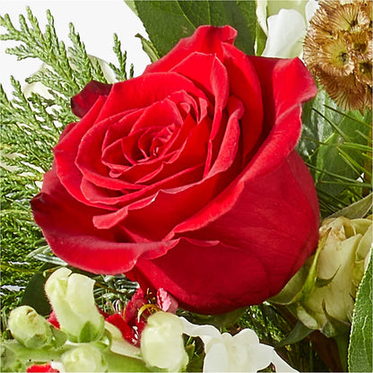 Deck the Halls Bouquet – FRUIT & FLOWER CREATIONS, Portland OR