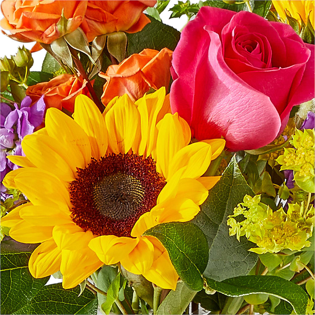 Vibrant Greetings Bouquet – FRUIT & FLOWER CREATIONS, Portland OR