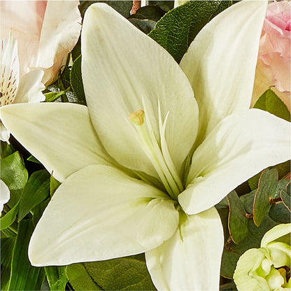 Ballet Slippers Bouquet – FRUIT & FLOWER CREATIONS, Portland OR