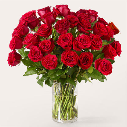 The One Red Rose Bouquet – FRUIT & FLOWER CREATIONS, Portland OR