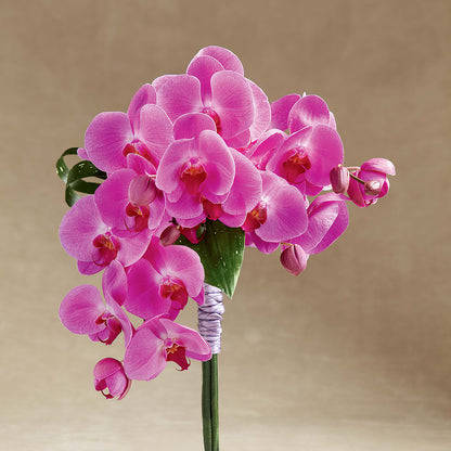 Glorious Bouquet – FRUIT & FLOWER CREATIONS, Portland OR