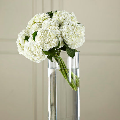 White Hydrangea Hand-Tied Bouquet – FRUIT & FLOWER CREATIONS, Portland OR