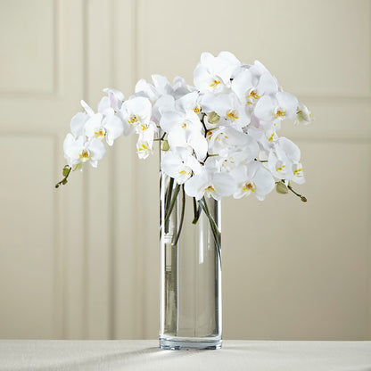 White Phalaenopsis Bouquet – FRUIT & FLOWER CREATIONS, Portland OR