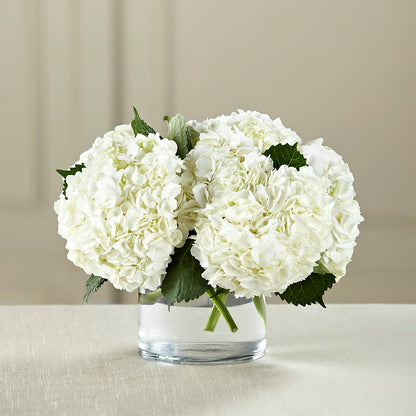 White Hydrangea Bouquet – FRUIT & FLOWER CREATIONS, Portland OR